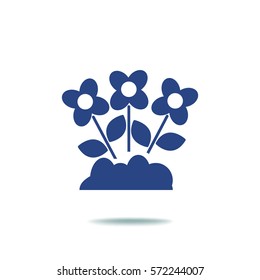 Icono plano. Daisies.