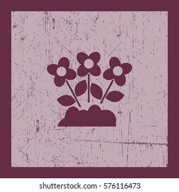Flat icon. Daisies.