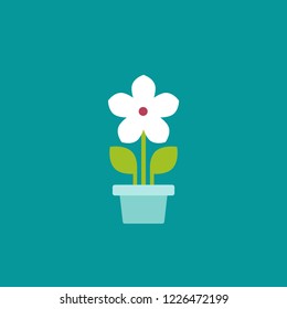 Flat icon of daisy flower in pot with stem and green leaves. Bloom with white petals . Isolated on blue background. Vector illustration. Ecology, natural, organic. Growth, development, abundance