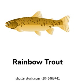 Icono plano que denota trucha arco iris, pescado comestible 