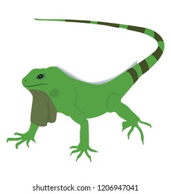 
A flat icon design of a agamidae lizard 
