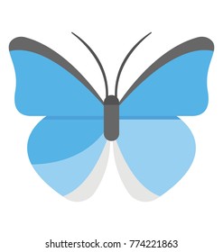 
Flat icon design of a butterfly 
