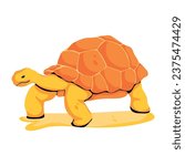 A flat icon design of desert turtle  