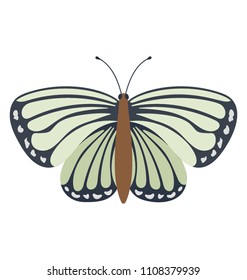 
A flat icon design of a Dryadula phaetusa
