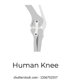 Flat icon design of human knee joints 