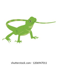 
A flat icon design of a lizard 
