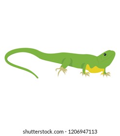 
A flat icon design of a lizard 
