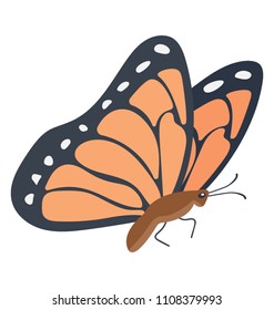 
Flat icon design of a monarch butterfly
