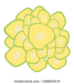 
Flat icon design of orbicella annularis coral reef

