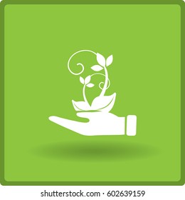 Flat icon. Ecology of plants. On the palm.