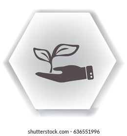 Icono plano. Ecología de las plantas. En la palma.