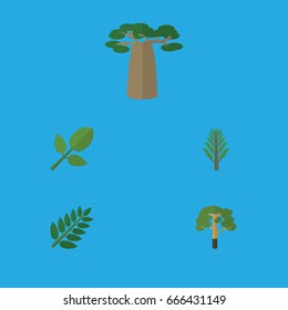 Flat Icon Ecology Set Of Acacia Leaf, Jungle, Wood And Other Vector Objects. Also Includes Baobab, Acacia, Hickory Elements.