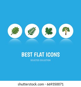 Flat Icon Ecology Set Of Acacia Leaf, Wood, Alder And Other Vector Objects. Also Includes Forest, Alder, Wood Elements.