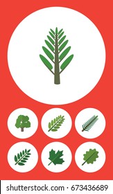 Flat Icon Ecology Set Of Acacia Leaf, Jungle, Alder And Other Vector Objects. Also Includes Wood, Oaken, Park Elements.