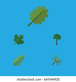 Flat Icon Ecology Set Of Alder, Oaken, Evergreen And Other Vector Objects. Also Includes Timber, Leaf, Tree Elements.