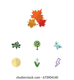 Flat Icon Ecology Set Of Berry, Monarch, Tree And Other Vector Objects. Also Includes Garden, Strawberry, Lightning Elements.