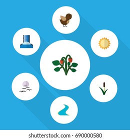 Flat Icon Ecology Set Of Bird, Solar, Cattail And Other Vector Objects. Also Includes Reed, Cattail, Bird Elements.