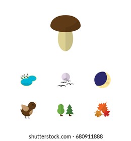 Flat Icon Ecology Set Of Canadian, Champignon, Half Moon And Other Vector Objects. Also Includes Pond, Champignon, Wing Elements.