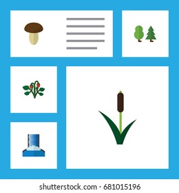 Flat Icon Ecology Set Of Cascade, Cattail, Berry And Other Vector Objects. Also Includes Waterfall, Forest, Wood Elements.