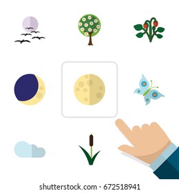 Flat Icon Ecology Set Of Cattail, Lunar, Half Moon And Other Vector Objects. Also Includes Butterfly, Cloud, Sky Elements.