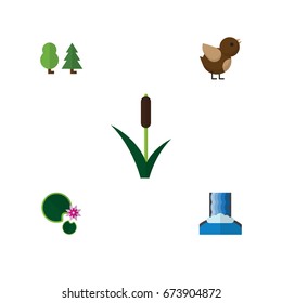 Flat Icon Ecology Set Of Cattail, Lotus, Cascade And Other Vector Objects. Also Includes Reed, Grass, Lotus Elements.