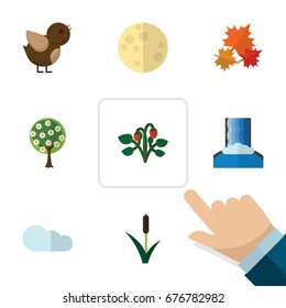 Flat Icon Ecology Set Of Cattail, Bird, Lunar And Other Vector Objects. Also Includes Leaf, Cascade, Canadian Elements.