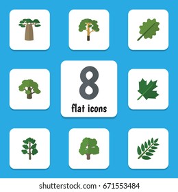 Flat Icon Ecology Set Of Decoration Tree, Acacia Leaf, Forest And Other Vector Objects. Also Includes Tree, Maple, Baobab Elements.