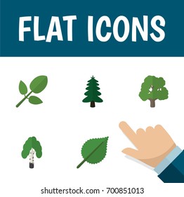 Flat Icon Ecology Set Of Decoration Tree, Park, Foliage And Other Vector Objects.  