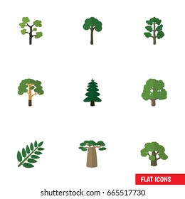 Flat Icon Ecology Set Of Evergreen, Forest, Park And Other Vector Objects. Also Includes Baobab, Forest, Timber Elements.