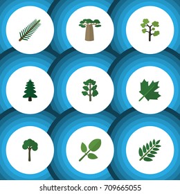 Flat Icon Ecology Set Of Garden, Park, Spruce Leaves And Other Vector Objects. Also Includes Tree, Park, Hickory Elements.