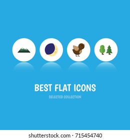 Flat Icon Ecology Set Of Half Moon, Bird, Peak And Other Vector Objects. Also Includes Sparrow, Pinnacle, Tree Elements.