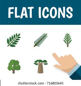 Flat Icon Ecology Set Of Jungle, Decoration Tree, Acacia Leaf And Other Vector Objects. Also Includes Willow, Acacia, Leaf Elements.