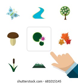 Flat Icon Ecology Set Of Lotus, Peak, Champignon And Other Vector Objects. Also Includes Fungi, Moth, Peak Elements.