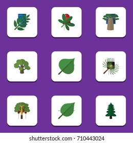 Flat Icon Ecology Set Of Maple, Tree, Park And Other Vector Objects. Also Includes Leaf, Park, Oaken Elements.