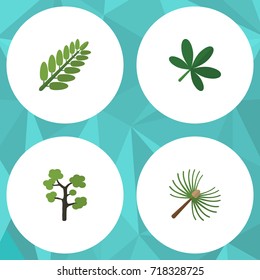 Flat Icon Ecology Set Of Maple, Garden, Leaves And Other Vector Objects. Also Includes Oaken, Maple, Leaf Elements.