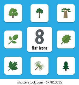 Flat Icon Ecology Set Of Oaken, Alder, Evergreen And Other Vector Objects. Also Includes Maple, Oak, Evergreen Elements.