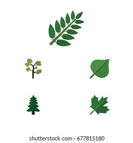 Flat Icon Ecology Set Of Oaken, Garden, Park And Other Vector Objects. Also Includes Oaken, Tree, Foliage Elements.