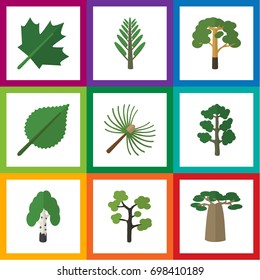 Flat Icon Ecology Set Of Oaken, Wood, Garden And Other Vector Objects. Also Includes Leaf, Evergreen, Rosemary Elements.