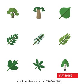 Flat Icon Ecology Set Of Oaken, Baobab, Timber And Other Vector Objects. Also Includes Oak, Spruce, Acacia Elements.