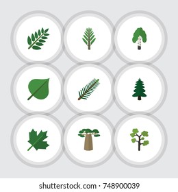 Flat Icon Ecology Set Of Oaken, Park, Garden And Other Vector Objects. Also Includes Hickory, Jungle, Forest Elements.