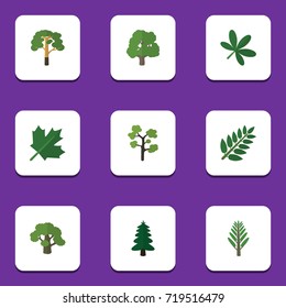 Flat Icon Ecology Set Of Park, Acacia Leaf, Garden And Other Vector Objects. Also Includes Wood, Leaf, Oak Elements.