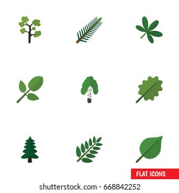 Flat Icon Ecology Set Of Spruce Leaves, Acacia Leaf, Maple And Other Vector Objects. Also Includes Rosemary Elements.