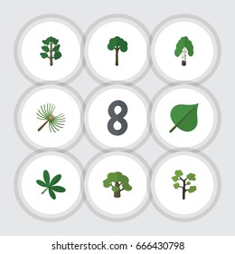 Flat Icon Ecology Set Of Timber, Maple, Rosemary And Other Vector Objects. Also Includes Forest, Spruce, Evergreen Elements.