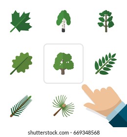 Flat Icon Ecology Set Of Timber, Oaken, Alder And Other Vector Objects. Also Includes Leaves, Park, Rosemary Elements.
