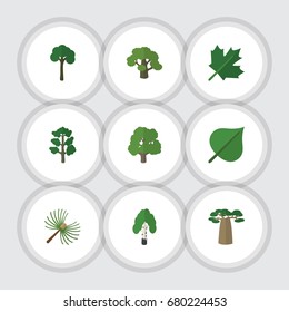 Flat Icon Ecology Set Of Timber, Rosemary, Hickory And Other Vector Objects. Also Includes Timber, Forest, Hickory Elements.