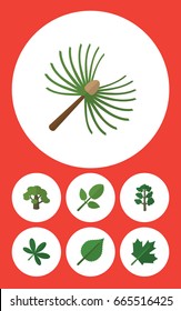 Flat Icon Ecology Set Of Tree, Oaken, Maple And Other Vector Objects. Also Includes Alder, Foliage, Maple Elements.