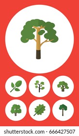Flat Icon Ecology Set Of Tree, Decoration Tree, Foliage And Other Vector Objects. Also Includes Leaf, Timber, Foliage Elements.