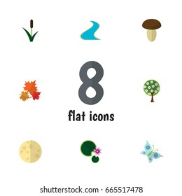 Flat Icon Ecology Set Of Tributary, Tree, Lotus And Other Vector Objects. Also Includes Estuary, Moon, Lily Elements.