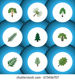 Flat Icon Ecology Set Of Wood, Tree, Park And Other Vector Objects. Also Includes Acacia, Tree, Forest Elements.
