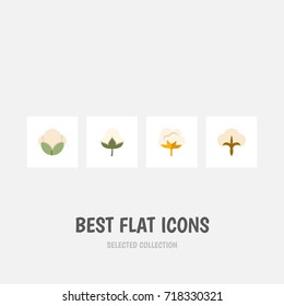 Flat Icon Fiber Set Of Flower, Fluffy, Fiber And Other Vector Objects. Also Includes Organic, Bud, Fiber Elements.